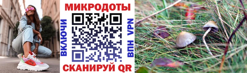 Псилоцибиновые грибы мухоморы  закладка  Кунгур 